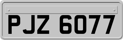 PJZ6077