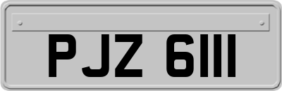 PJZ6111