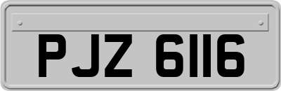 PJZ6116