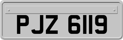 PJZ6119
