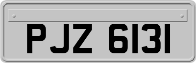 PJZ6131