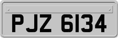 PJZ6134