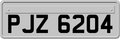 PJZ6204