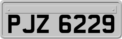 PJZ6229