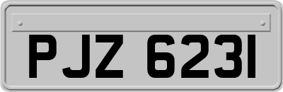 PJZ6231