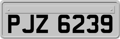 PJZ6239