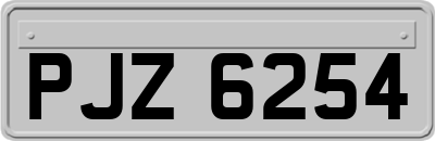 PJZ6254