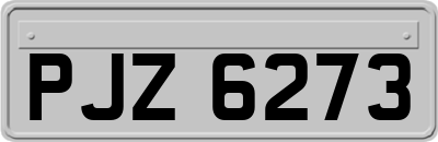 PJZ6273
