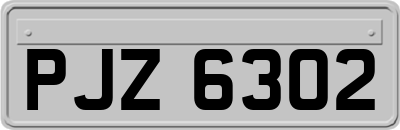 PJZ6302