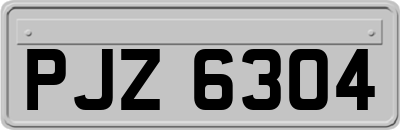 PJZ6304
