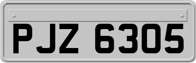 PJZ6305