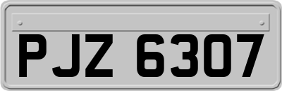 PJZ6307