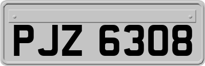 PJZ6308