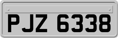 PJZ6338
