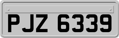 PJZ6339