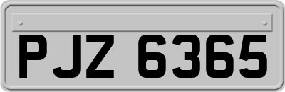 PJZ6365