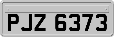 PJZ6373