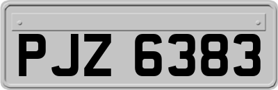 PJZ6383