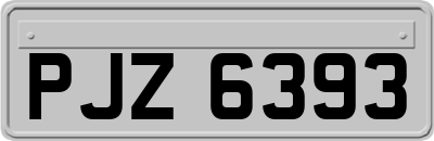 PJZ6393