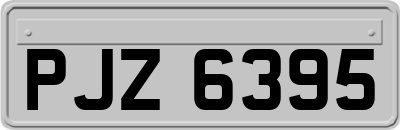 PJZ6395