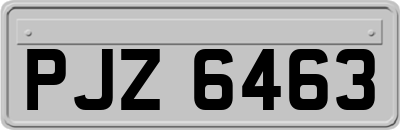 PJZ6463