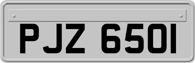 PJZ6501