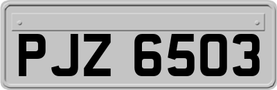 PJZ6503