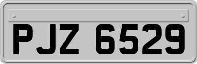 PJZ6529