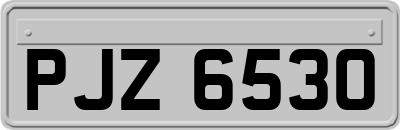 PJZ6530