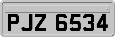 PJZ6534