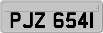 PJZ6541