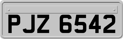 PJZ6542