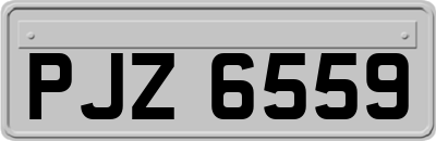 PJZ6559