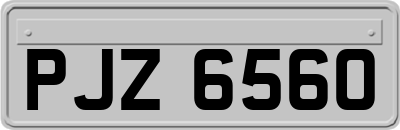 PJZ6560