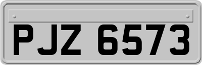 PJZ6573