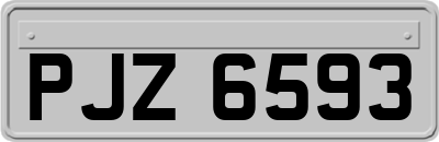 PJZ6593
