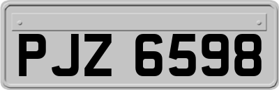 PJZ6598