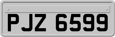 PJZ6599
