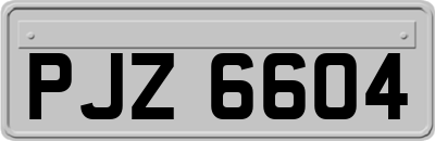 PJZ6604