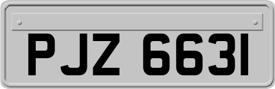 PJZ6631