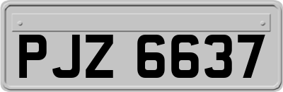 PJZ6637