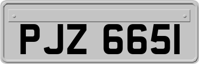 PJZ6651