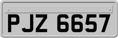 PJZ6657