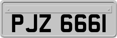 PJZ6661