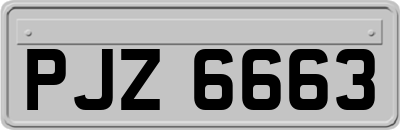 PJZ6663