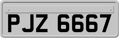 PJZ6667