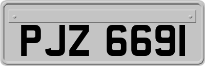 PJZ6691