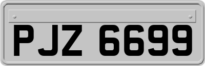 PJZ6699