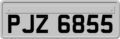 PJZ6855