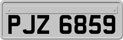 PJZ6859
